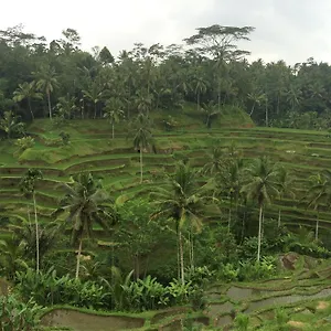 Pangkung House Ubud
